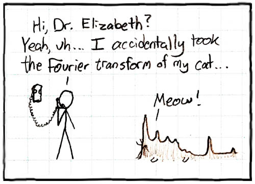File:Fourier-cat.jpg